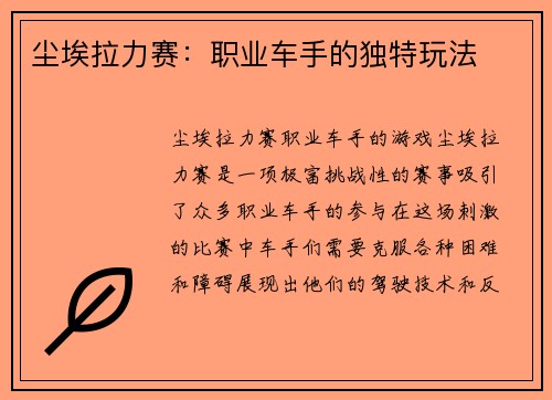 尘埃拉力赛：职业车手的独特玩法